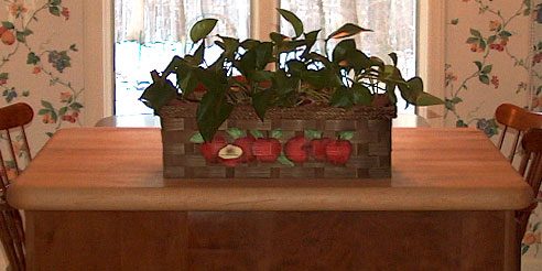 butcher block countertop with house plant basket